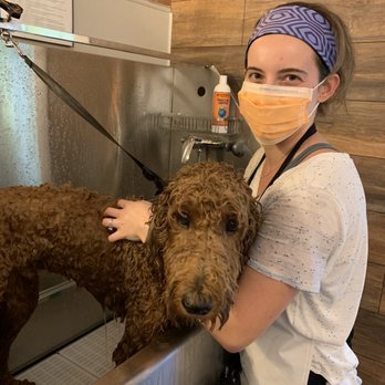 Philthy PAWS - Giving Bartlet a Bath! - Pet Groomers Near Me - Philadelphia, Pennsylvania
