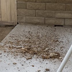Avitec Bird Control - Droppings removed from the nesting area.