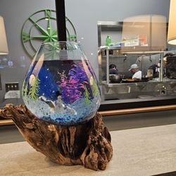 Crooked Shoreline - A beautiful creative artwork of what looks like a contemporary fishbowl with lovely colors. And the kitchen in the background.