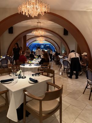 Vitolo by null Vitolo by null