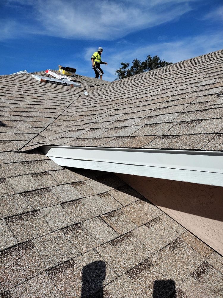 Slide of Capital Business Innovation Roofing