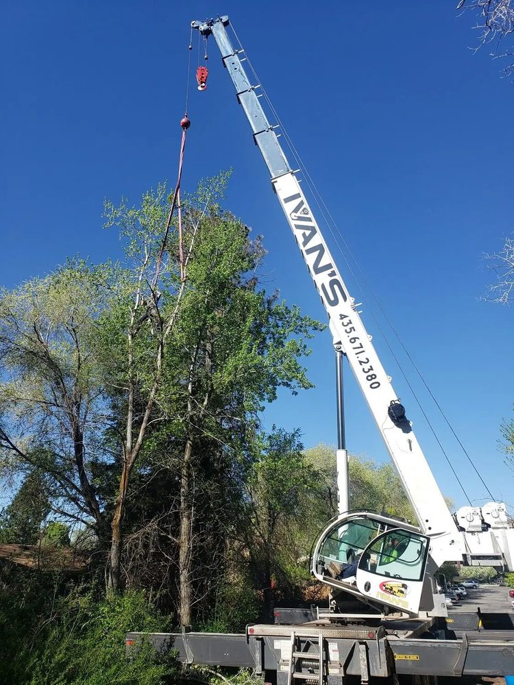 Timber Ridge Tree Service - tree service in Salt Lake City, UT