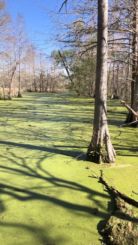 NORTHEAST MEDICAL CENTER HABERSHAM Updated September 2024 15 Reviews 541