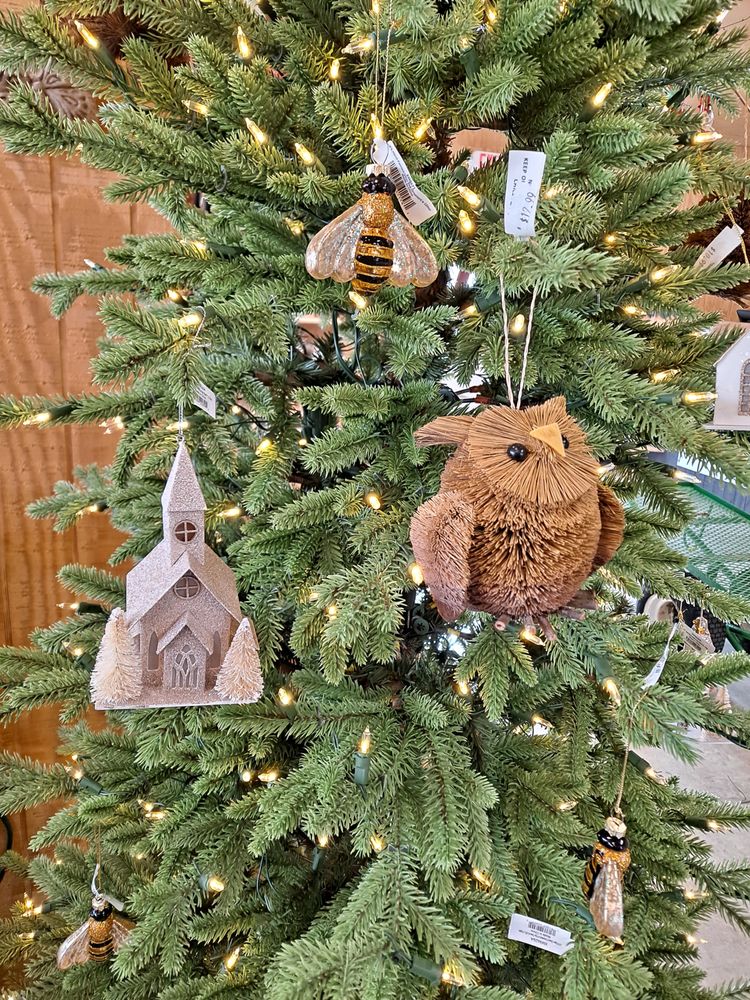 SOMERSET NURSERY Updated October 2024 39 Photos 1697 Pottstown