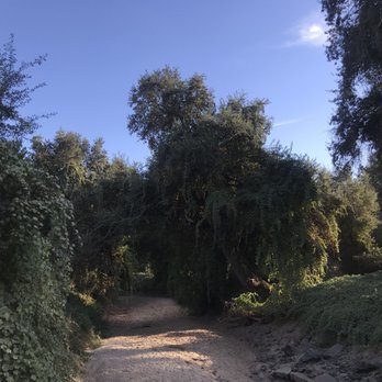 Kaweah Oaks Preserve - It really is such a peaceful place to get away to and take in some really cool scenery. - Hiking Near Me - Exeter, California