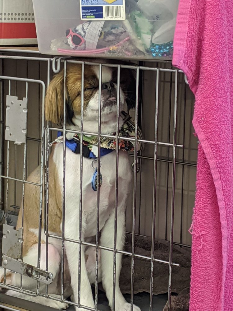 SHERRIE’S PROFESSIONAL PET GROOMING Updated September 2024 8101 S