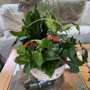 Arlington Heights Florist - Florists Near Me - Arlington Heights, Illinois Arlington Heights Florist - Florists Near Me - Arlington Heights, Illinois