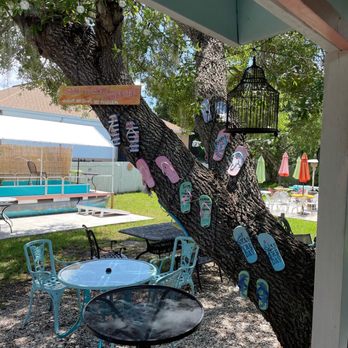 Lazy Gator - outside on the patio - Cocktail Bars Near Me - Ruskin, Florida