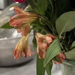 Graceland Florist - came with 6 wilted flowers and 1 cut off