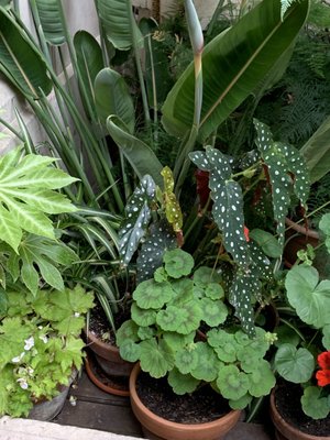 Waddesdon Manor by null