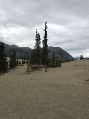 Carcross Desert by null