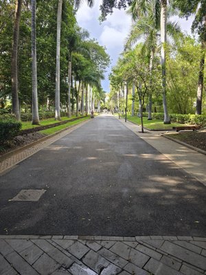 Parque García Sanabria by null