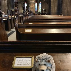 Glasgow Cathedral - St. Mungo Church Of Scotland - Hedgy resting on a pew and the view looking forwards.