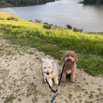 WoofyClub - Time for a hike! - Pet Boarding Near Me WoofyClub - Time for a hike! - Pet Boarding Near Me