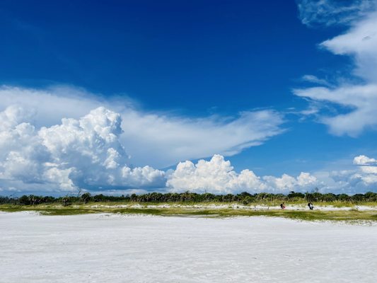 Fort De Soto Park by null