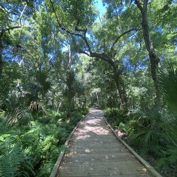 Hammock State Park - Boardwalk - Hiking Near Me - Dunedin, Florida