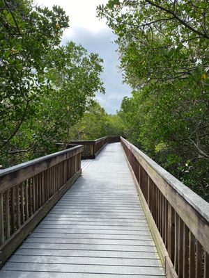 Weedon Island Preserve by null
