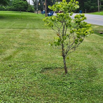 Mowtivated Landscape - Landscaping Near Me Mowtivated Landscape - Landscaping Near Me