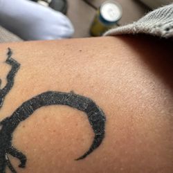 Red Octopus Tattoos
