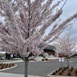 Columbia Tech Center Nature