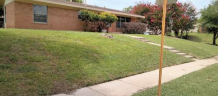 Lawn Services - For all your lawn service needs
Call/Text for a free estimate- 2107627496 Lawn Services - For all your lawn service needs
Call/Text for a free estimate- 2107627496