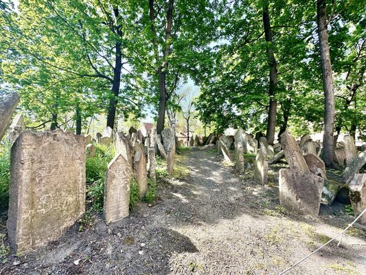 Old Jewish Cemetery by null