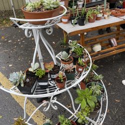 Wellington Farmers’ Market - Wellington Farmers' Market