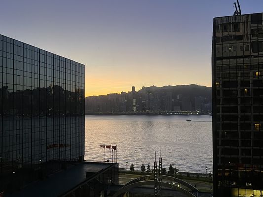 The Royal Garden by null