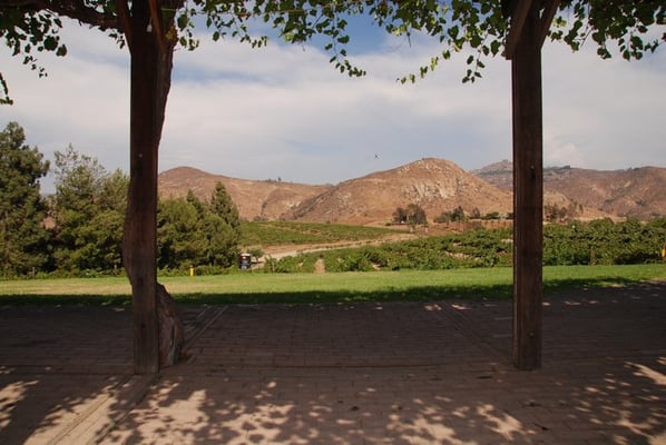 Orfila Vineyards and Winery by null