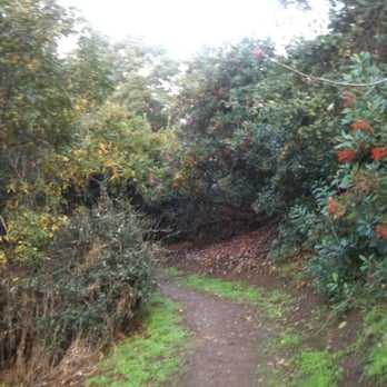 South Hills Park - Hiking Near Me - Glendora, California South Hills Park - Hiking Near Me - Glendora, California