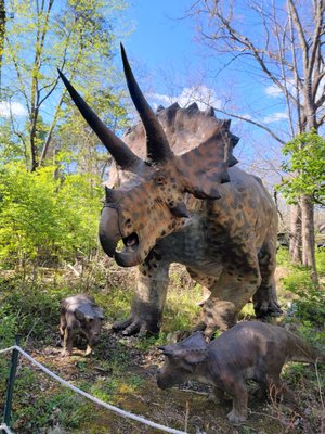 Backyard Terrors and Dinosaur Park by null