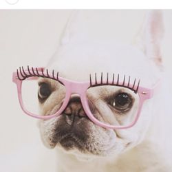 I Do Lashes - Woof woof! I look better w lashes :D