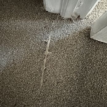 1. Carpet Max & Chandelier Lighting