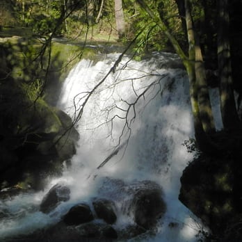 Whatcom Falls Park - Dog Parks Near Me - Bellingham, Washington