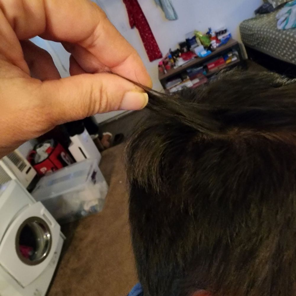 The Burbs Barber - Lol what a joke if a haircut - Barbers Near Me - Orange, California The Burbs Barber - Lol what a joke if a haircut - Barbers Near Me - Orange, California
