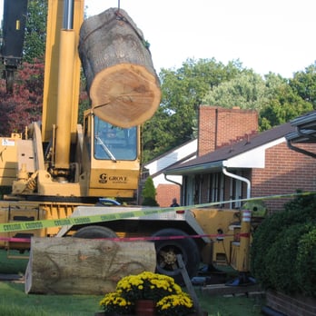 Mark's Tree & Stump Removal - Tree Services Near Me - Roanoke, Virginia