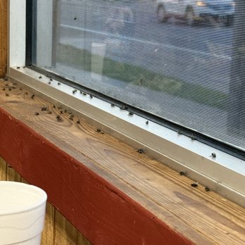 Crawfish Getaway - Seafood Near Me - Somerville, Texas