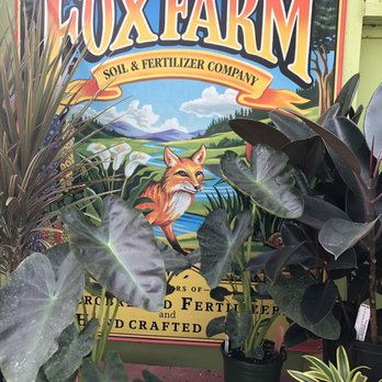Reems Creek Nursery - It seemed all the garden areas are artfully displayed - Nurseries & Gardening Near Me - Weaverville, North Carolina