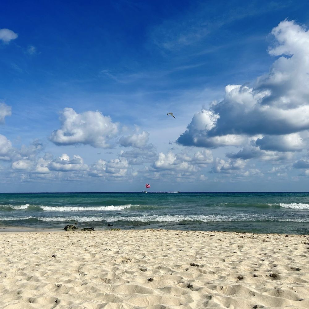 Petit Lafitte - The beach in front of - Hotels Near Me - Playa del Carmen, ROO