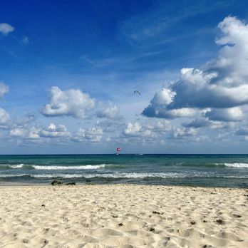 Petit Lafitte - The beach in front of - Hotels Near Me - Playa del Carmen, ROO