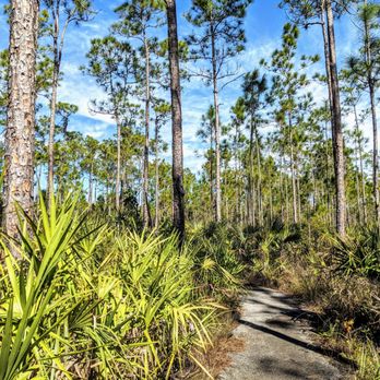 Everglades National Park - Pinelands Trail - Parks Near Me - Homestead, Florida Everglades National Park - Pinelands Trail - Parks Near Me - Homestead, Florida