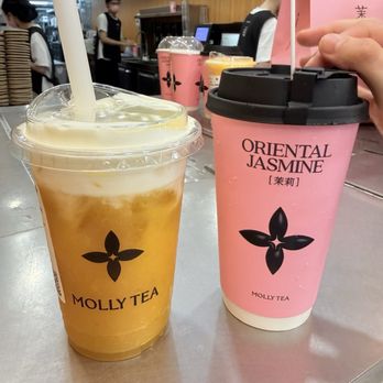 Molly Tea - Mango jasmine tea and jasmine milk tea - Bubble Tea Near Me - New York, New York