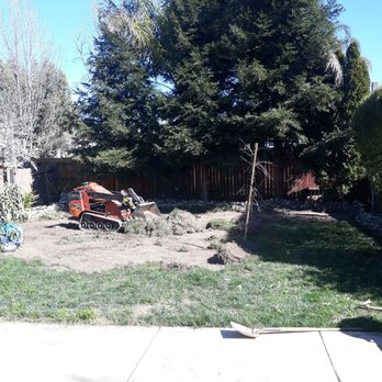 Forever Green Cali - Demolition - Landscaping Near Me Forever Green Cali - Demolition - Landscaping Near Me