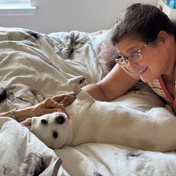 VEG ER for Pets - Buster, now feeling better after coming home from the hospital. - Emergency Pet Hospital Near Me - Austin, Texas VEG ER for Pets - Buster, now feeling better after coming home from the hospital. - Emergency Pet Hospital Near Me - Austin, Texas