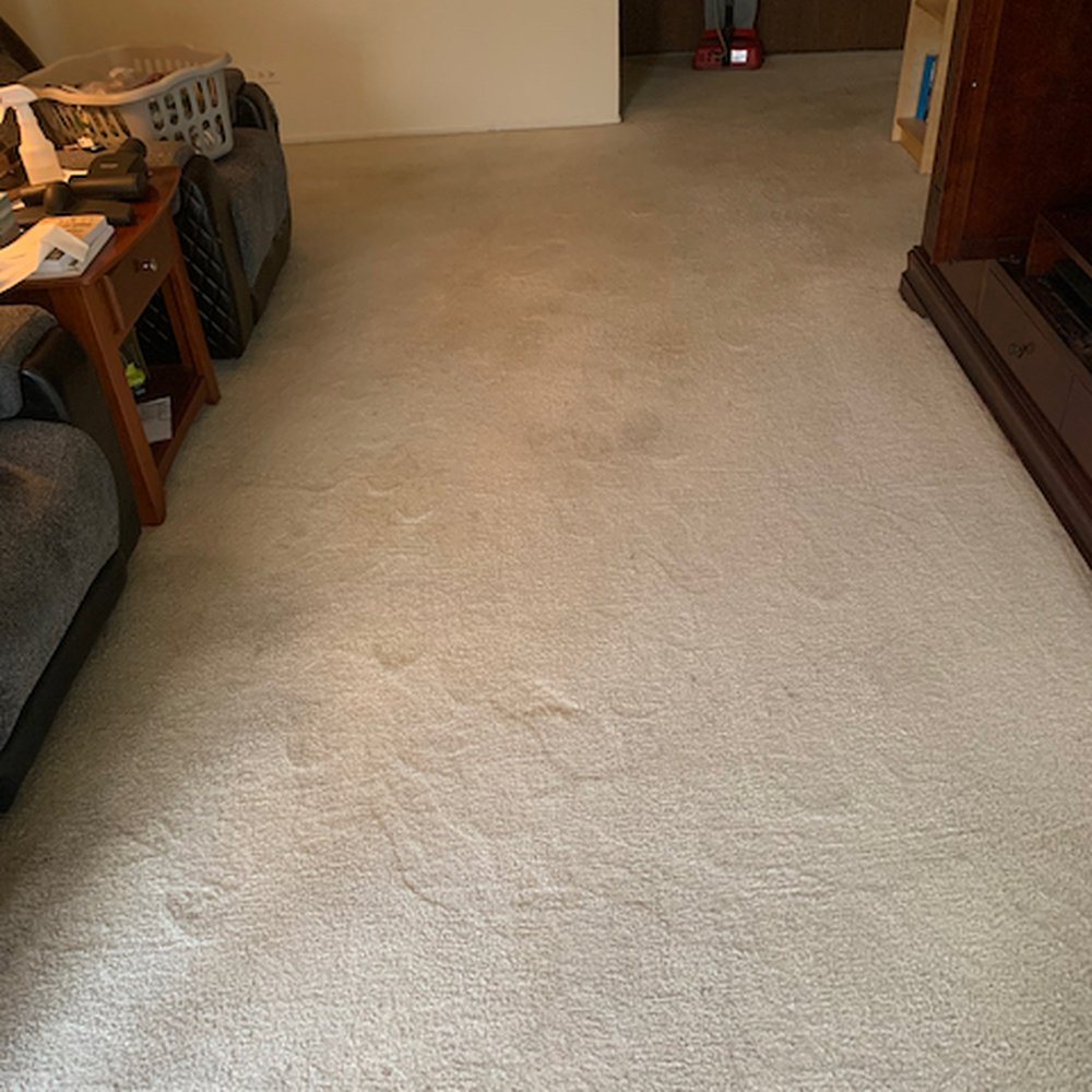 A-Plus Cleaning Service - Blood stain gone! - Carpet Cleaning Near Me - Chicago, Illinois A-Plus Cleaning Service - Blood stain gone! - Carpet Cleaning Near Me - Chicago, Illinois