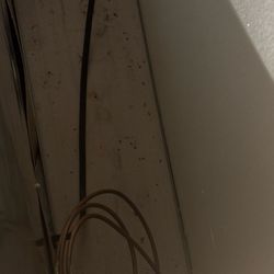 Coldwell Banker Resort Realty - Mouse droppings in our $4200 per week summer rental at Port Lewes - Unit 67