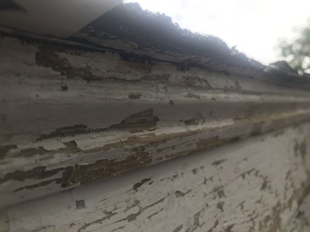 Slide of Pro-Touch Finishings