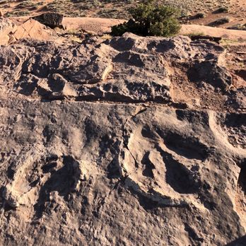 Moab Tour Company - Dinosaur tracks - Tours Near Me - Moab, Utah