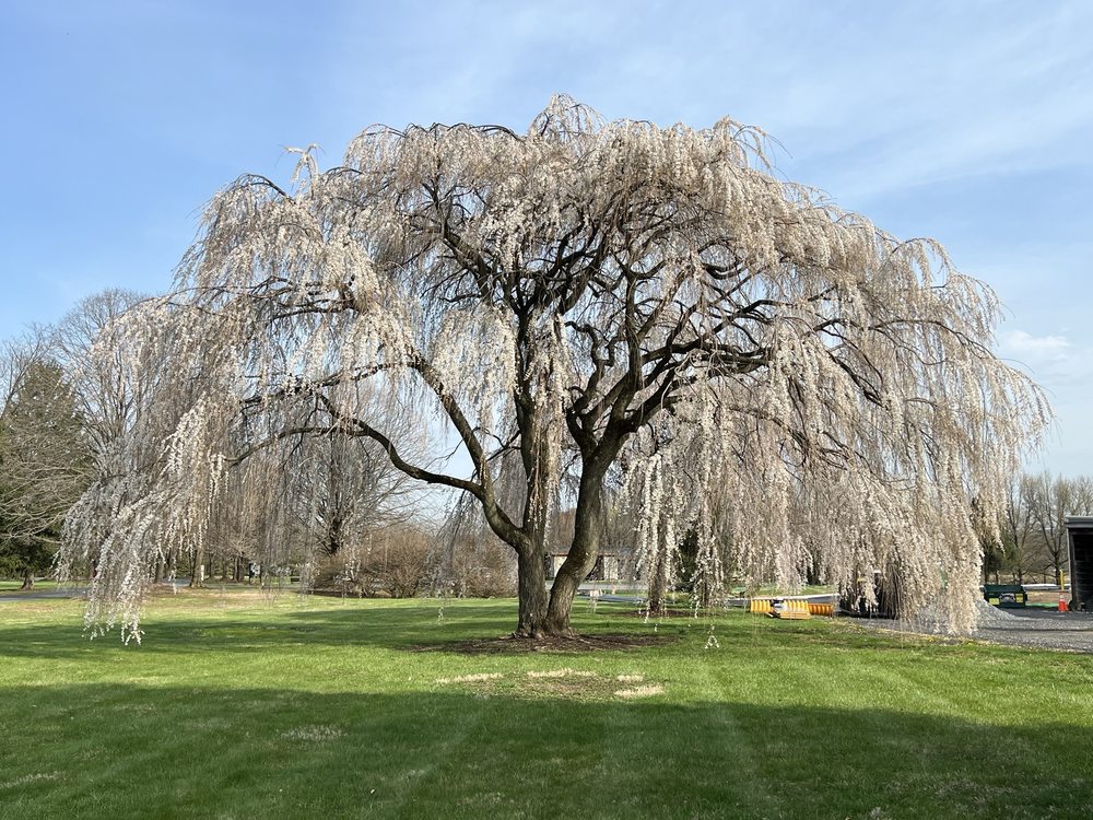 Louise Moore Park Image