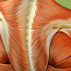 Massage Awareness Institute